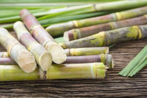 sugarcane y el Potasio