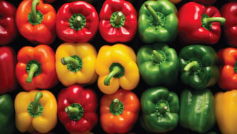 Pimiento