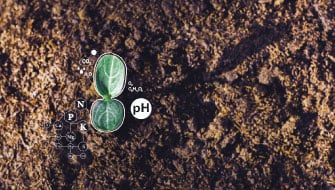 Comprendiendo el pH del suelo y su impacto en la disponibilidad de nutrientes