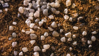 Polysulphate<sup>®</sup>: el fertilizante 4-en-1 que simplifica tu programa de nutrición