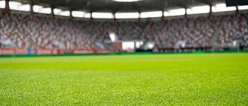 Understanding summer disease risk in stadia