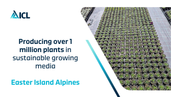 Game changer for Easter Island Alpines