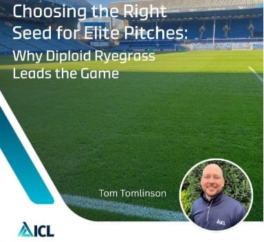 Choosing the Right Seed for Elite Pitches: Why Diploid Ryegrass Leads the Game