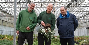 Peat-free Boultons sell plants on own merit