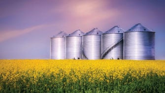On-Demand Webinar: Are You Replenishing Sulphur Effectively After Harvest? Strategies for 2026
