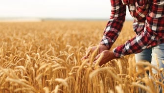 Innovative Polysulphate Trials: Enhancing Nitrogen Efficiency