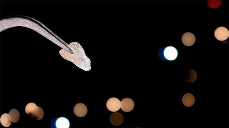 A pair of metal tweezers holds a small translucent crystal against a dark background with soft, out-of-focus colored lights.