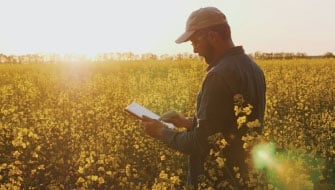 Sulphur 101: Why Sulphur Is Essential for Crop Nutrition & Efficiency